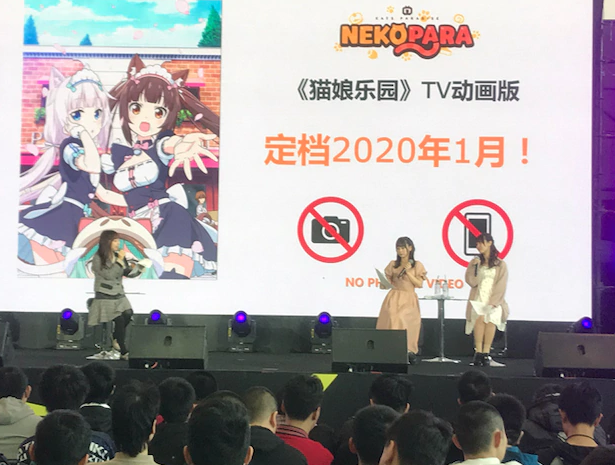 游改动画《猫娘乐园》定档2020年1月 中日同步开播